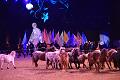 2014-12-05 21-23-31 (2)